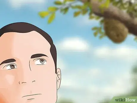 Imagen titulada Get Rid of a Beehive Step 2