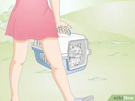 Imagen titulada Castrate a Cat Step 5