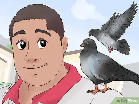 Imagen titulada Catch Pigeons Step 20