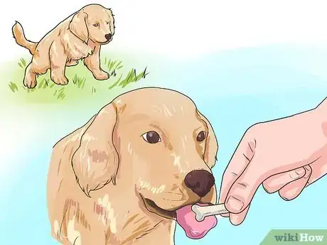 Imagen titulada Train a Golden Retriever Puppy Step 15