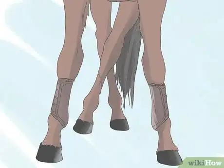 Imagen titulada Teach Your Horse to Side Pass Step 3