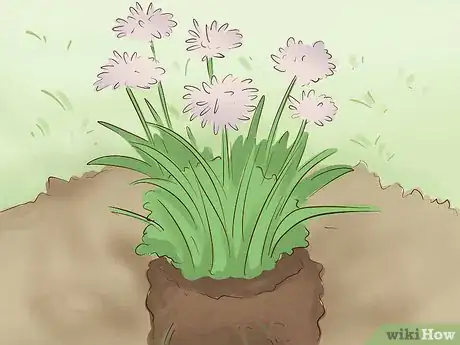 Imagen titulada Create a Rain Garden Step 7.jpeg