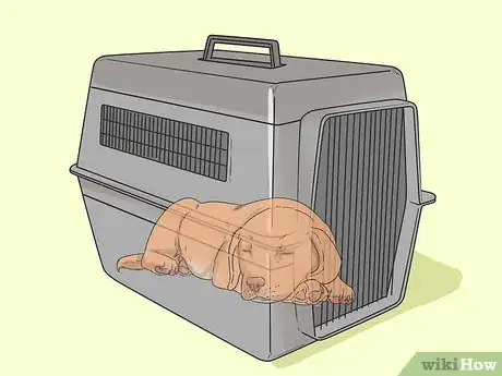 Imagen titulada Train a Golden Retriever Puppy Step 35
