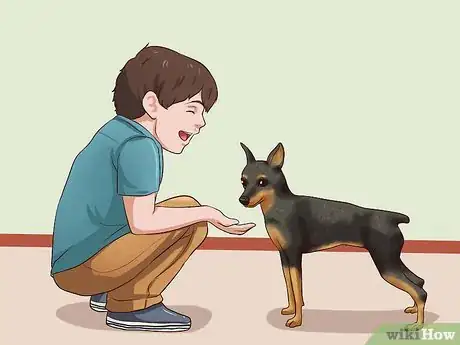 Imagen titulada Care for a Miniature Pinscher Step 5