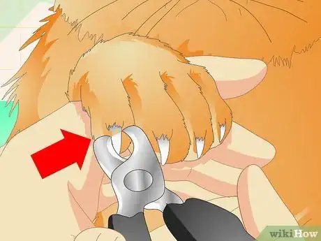 Imagen titulada Care for a Cat's Paws Step 2