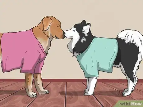 Imagen titulada Introduce a New Dog to Your House and Other Dogs Step 7
