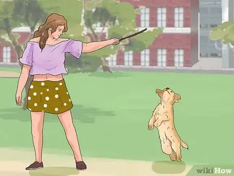 Imagen titulada Train a Golden Retriever Puppy Step 20