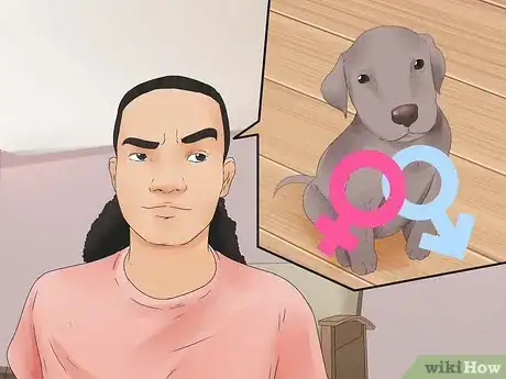 Imagen titulada Choose a Puppy Step 9