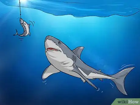 Imagen titulada Fish for Shark Step 8