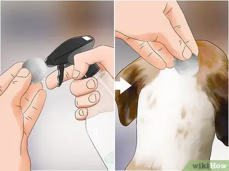 Imagen titulada Control Fleas by Using Peppermint Step 4