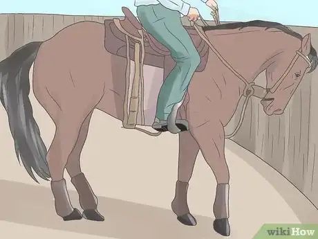 Imagen titulada Teach Your Horse to Side Pass Step 8
