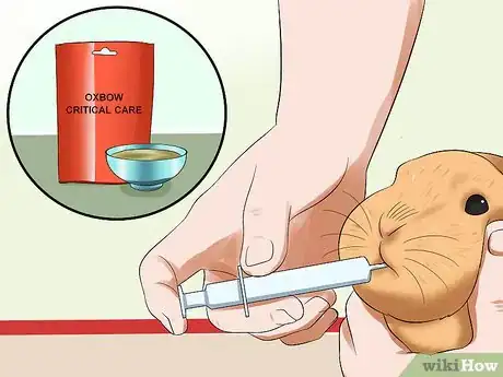 Imagen titulada Treat Digestive Problems in Rabbits Step 11