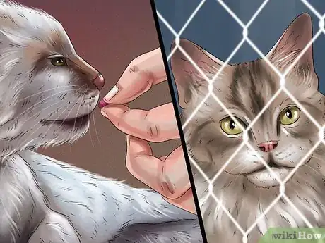 Imagen titulada Diagnose and Treat Dislocated Joints in Cats Step 10