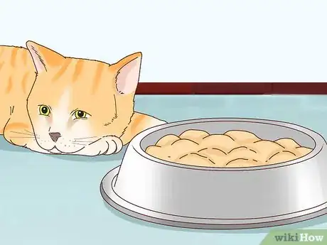 Imagen titulada Tell if Your Cat Is Depressed Step 6