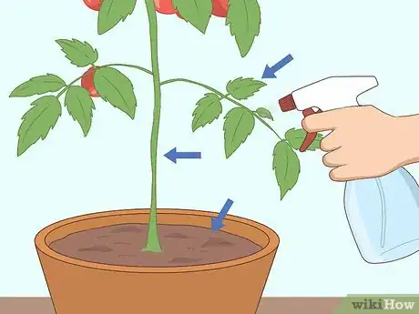 Imagen titulada Use Neem Oil Step 4
