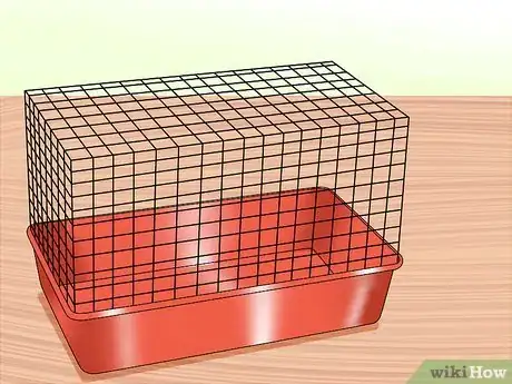 Imagen titulada Breed a Pet Ferret Step 7