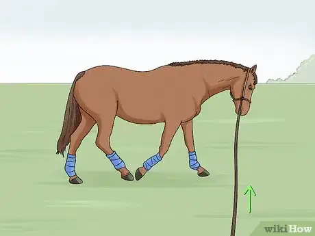 Imagen titulada Lunge a Horse Step 16