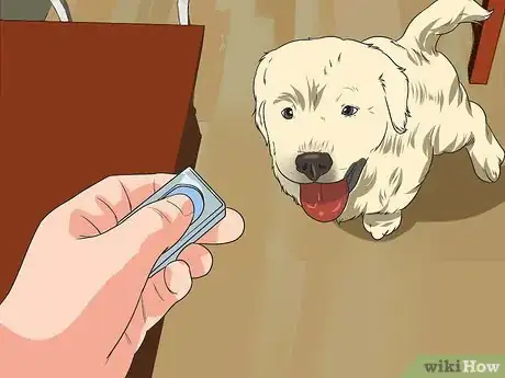 Imagen titulada Train Your Dog from Running out of Your House Step 3