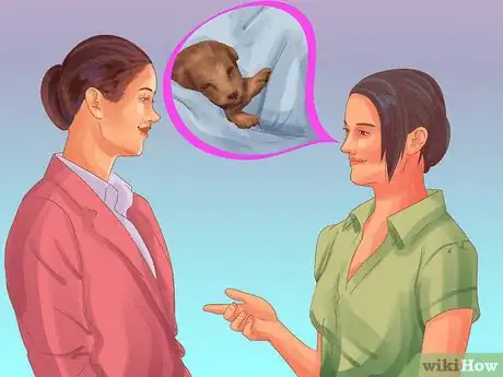 Imagen titulada Buy Already Trained Dogs Step 3