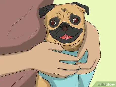 Imagen titulada Introduce a New Dog to Your House and Other Dogs Step 5