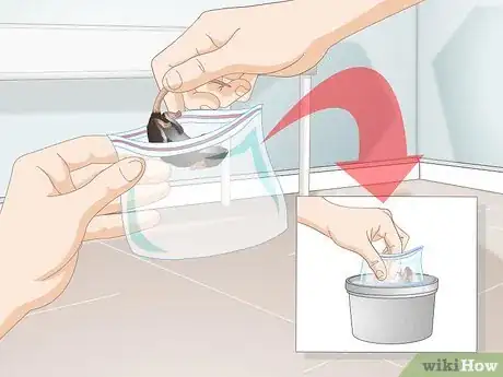 Imagen titulada Feed a Corn Snake Step 6