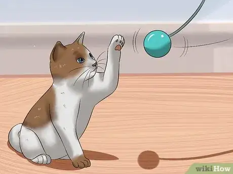 Imagen titulada Raise a Kitten Step 5