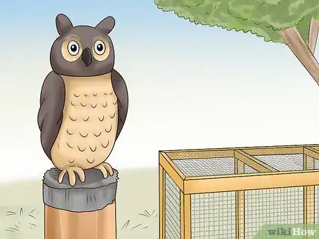 Imagen titulada Keep Owls Away from Chickens Step 10