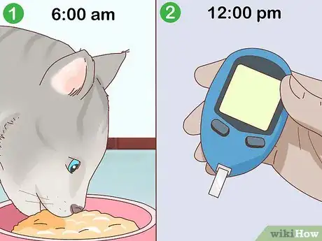 Imagen titulada Check Blood Sugar of a Cat Step 11