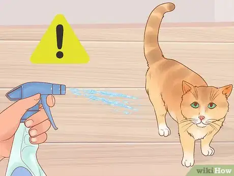 Imagen titulada Prevent Cats from Eating Plants Step 4