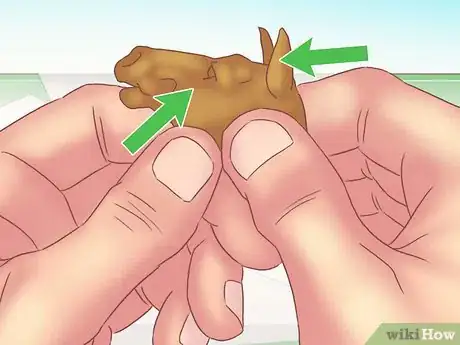Imagen titulada Make a Clay Horse Step 35
