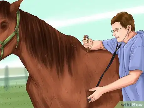 Imagen titulada Recognize and Treat Laminitis (Founder) in Horses Step 4