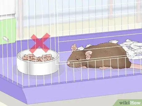 Imagen titulada Spot Signs of Illness in Rats Step 2