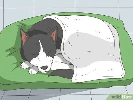 Imagen titulada Care for a Sick Dog Step 12
