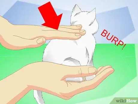 Imagen titulada Get Your Kitten to Eat Step 5