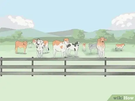 Imagen titulada Start a Ranch Step 17