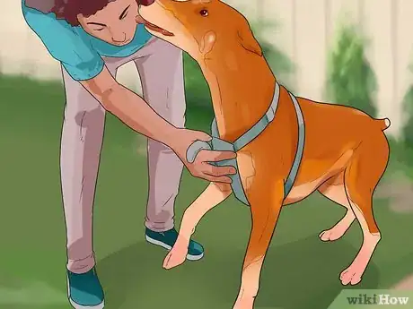 Imagen titulada Stop a Dog from Killing Squirrels Step 1