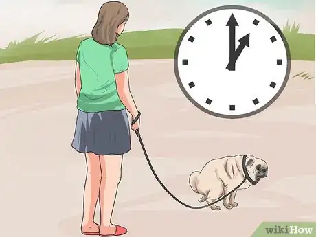 Imagen titulada Train Pugs Step 10