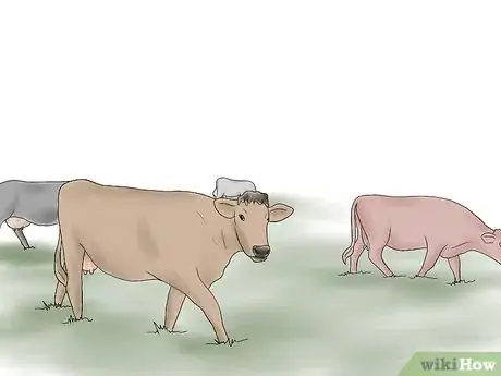 Imagen titulada Herd Cattle Step 1