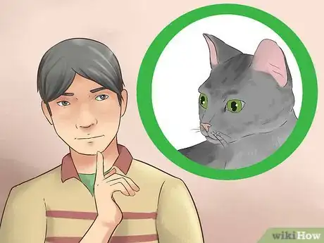 Imagen titulada Adopt a Kitten Step 1