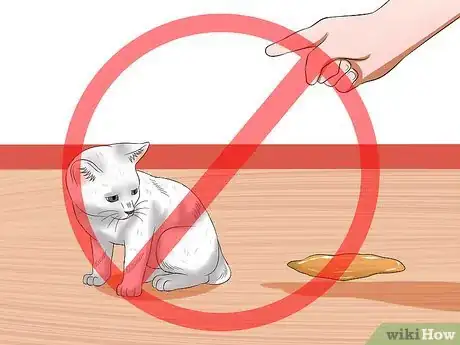 Imagen titulada Care for a Stray Kitten Step 17