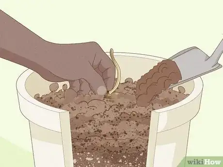 Imagen titulada Plant Date Seeds Step 13