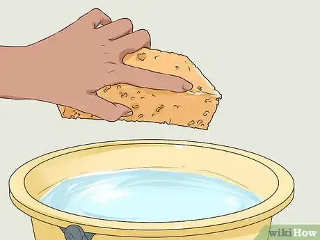 Imagen titulada Clean Plaster Walls Step 4