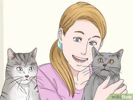 Imagen titulada Get a Cat to Stop Meowing Step 9