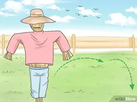 Imagen titulada Keep Owls Away from Chickens Step 11