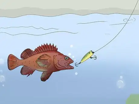 Imagen titulada Hook a Fish Step 2