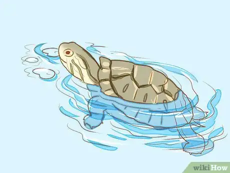 Imagen titulada Take Care of Baby Water Turtles Step 20