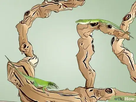 Imagen titulada Care for Green Anole Lizards Step 12