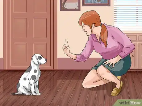 Imagen titulada Care for a Dalmatian Step 14