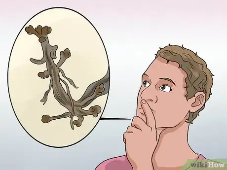 Imagen titulada Identify Poison Oak Step 7