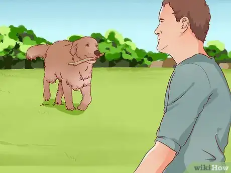 Imagen titulada Stop a Dog from Pulling on Its Leash Step 13
